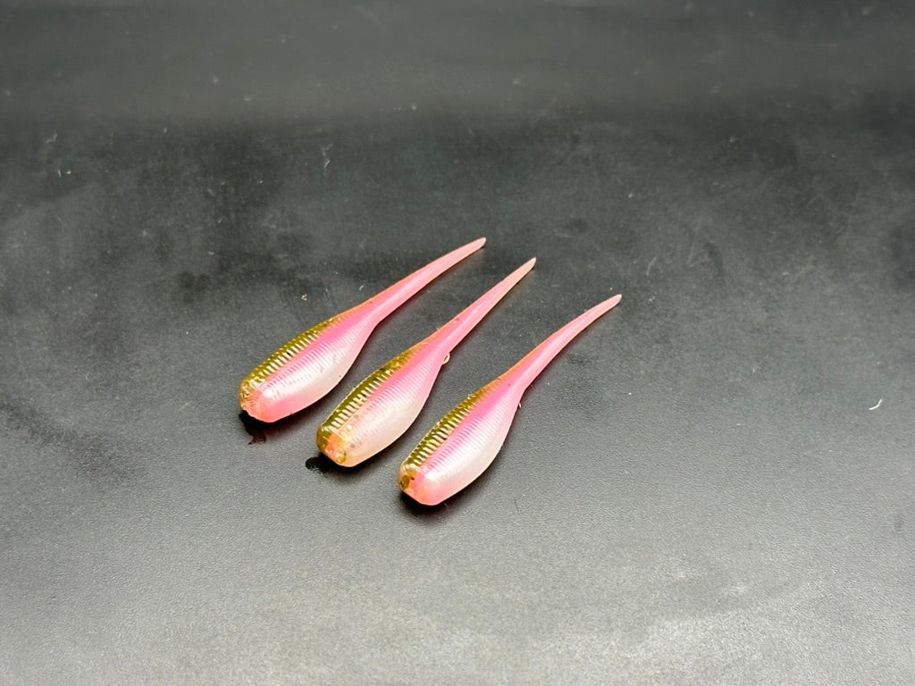 2" Minnow - Pack of 16