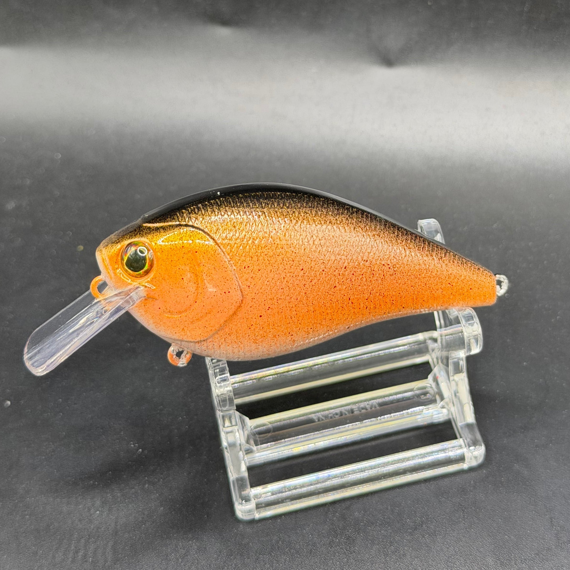 December Series 2025 Crank Baits