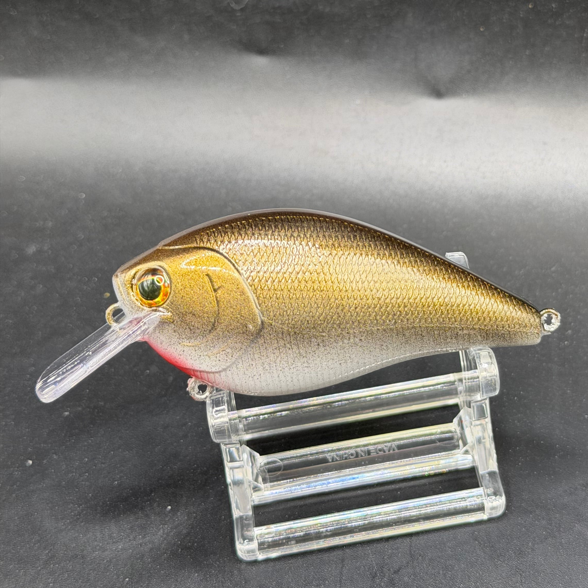 December Series 2025 Crank Baits