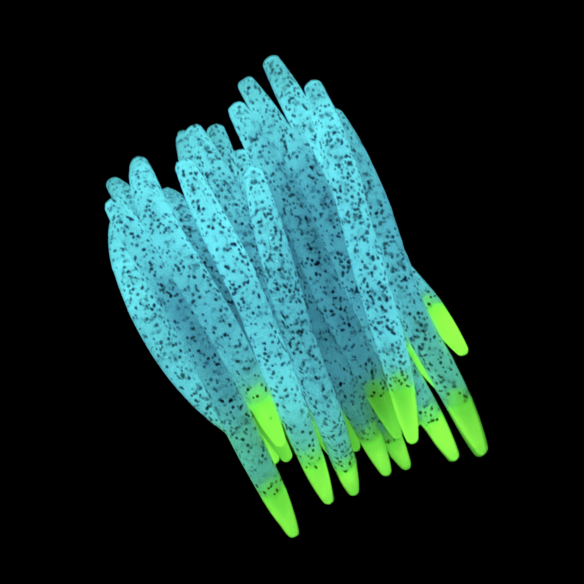 Limited Glow in the Dark - 5" Stick Bait