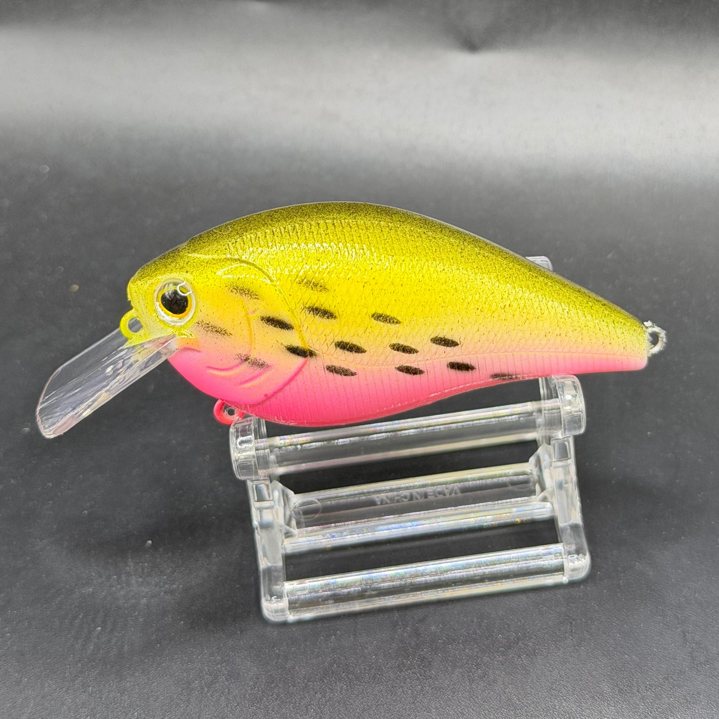 December Series 2025 Crank Baits