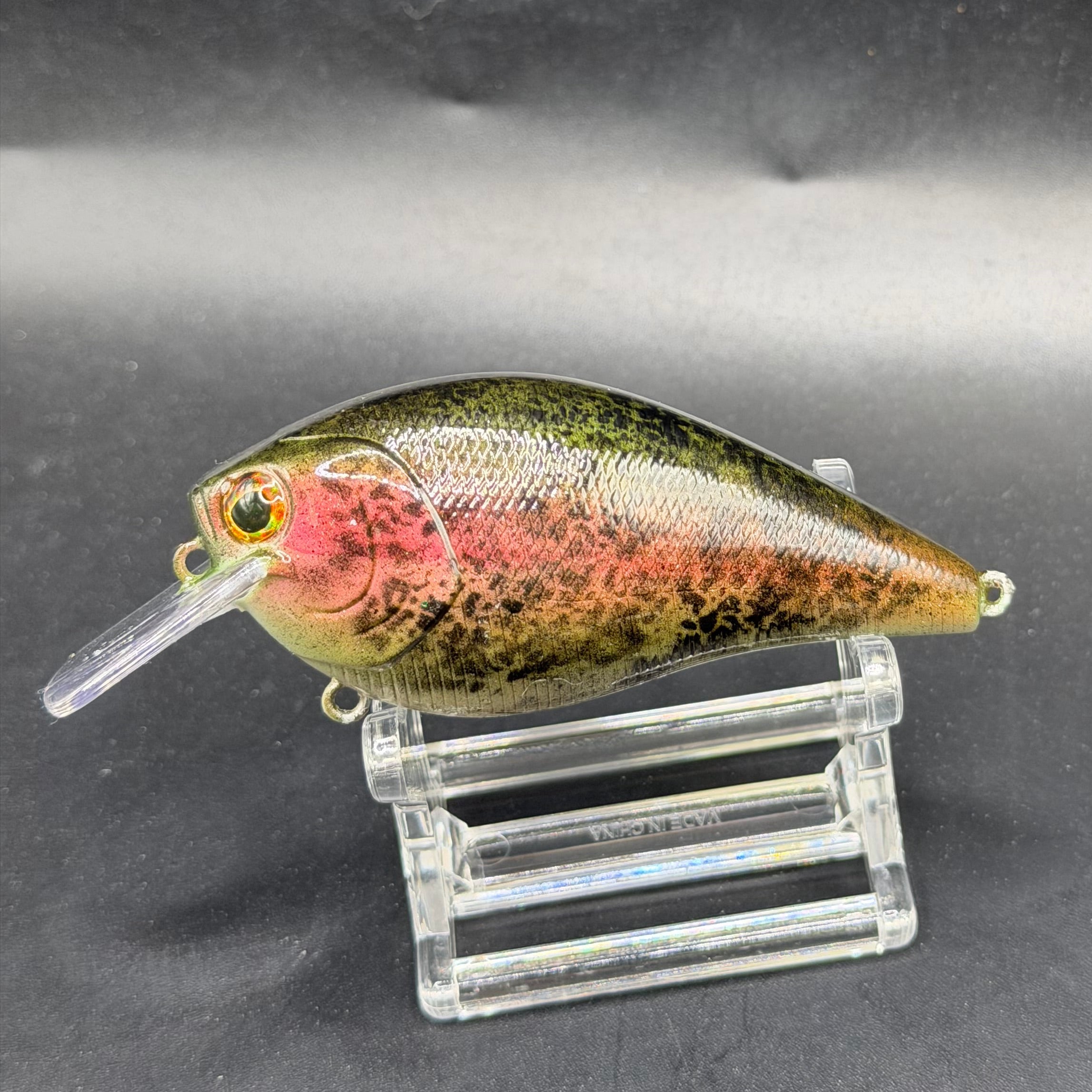 December Series 2025 Crank Baits