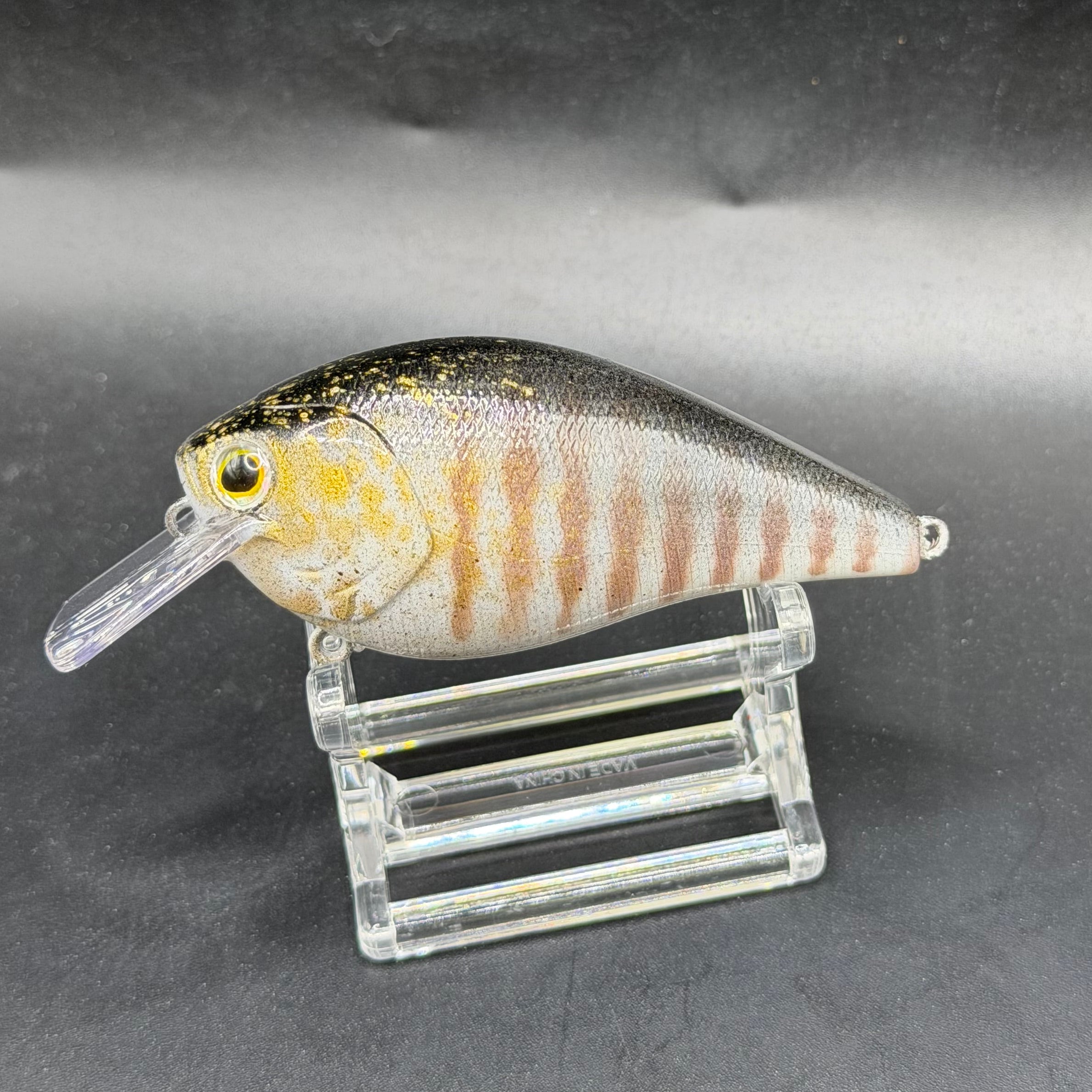 December Series 2025 Crank Baits