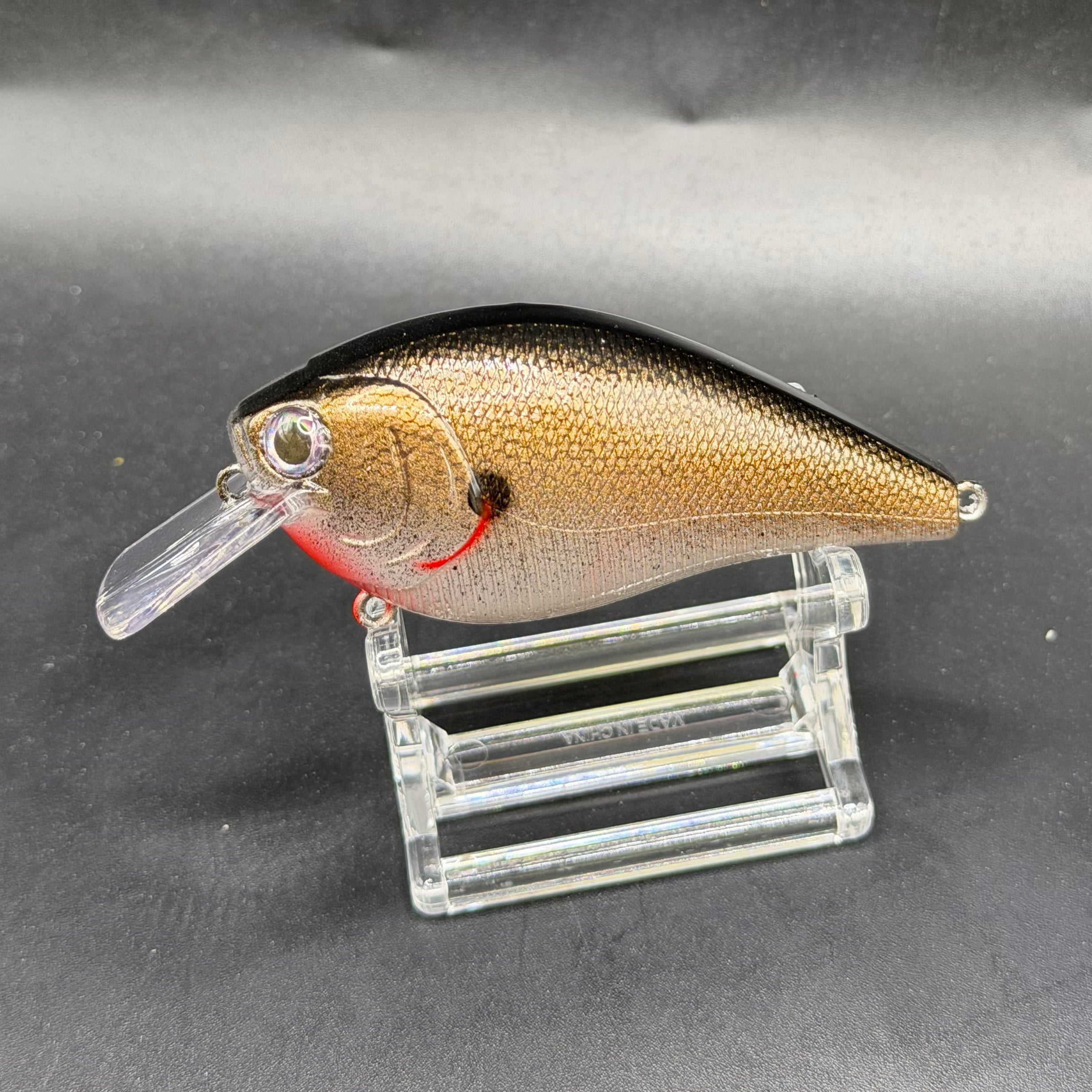 December Series 2025 Crank Baits