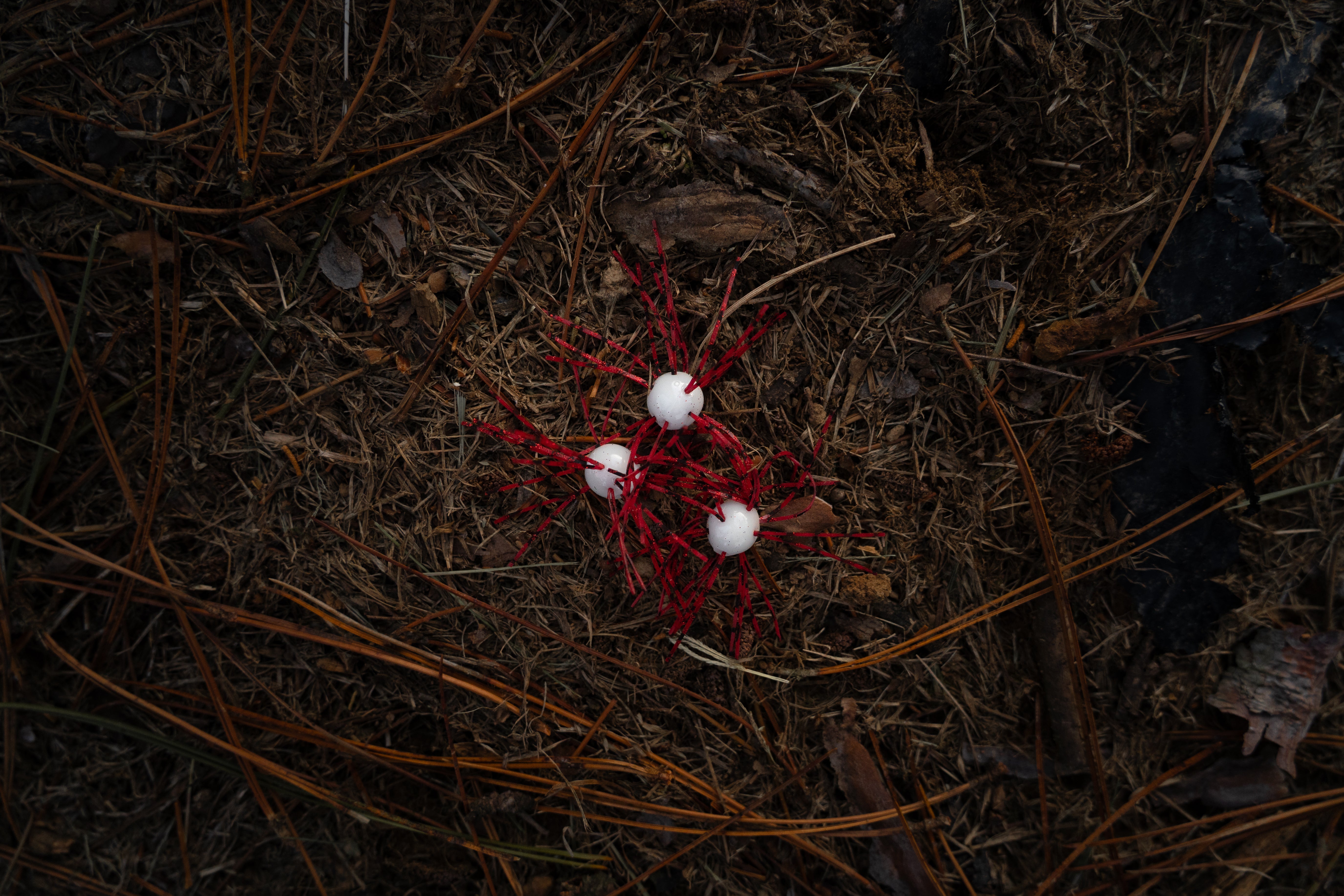 Fuzzy Eggs
