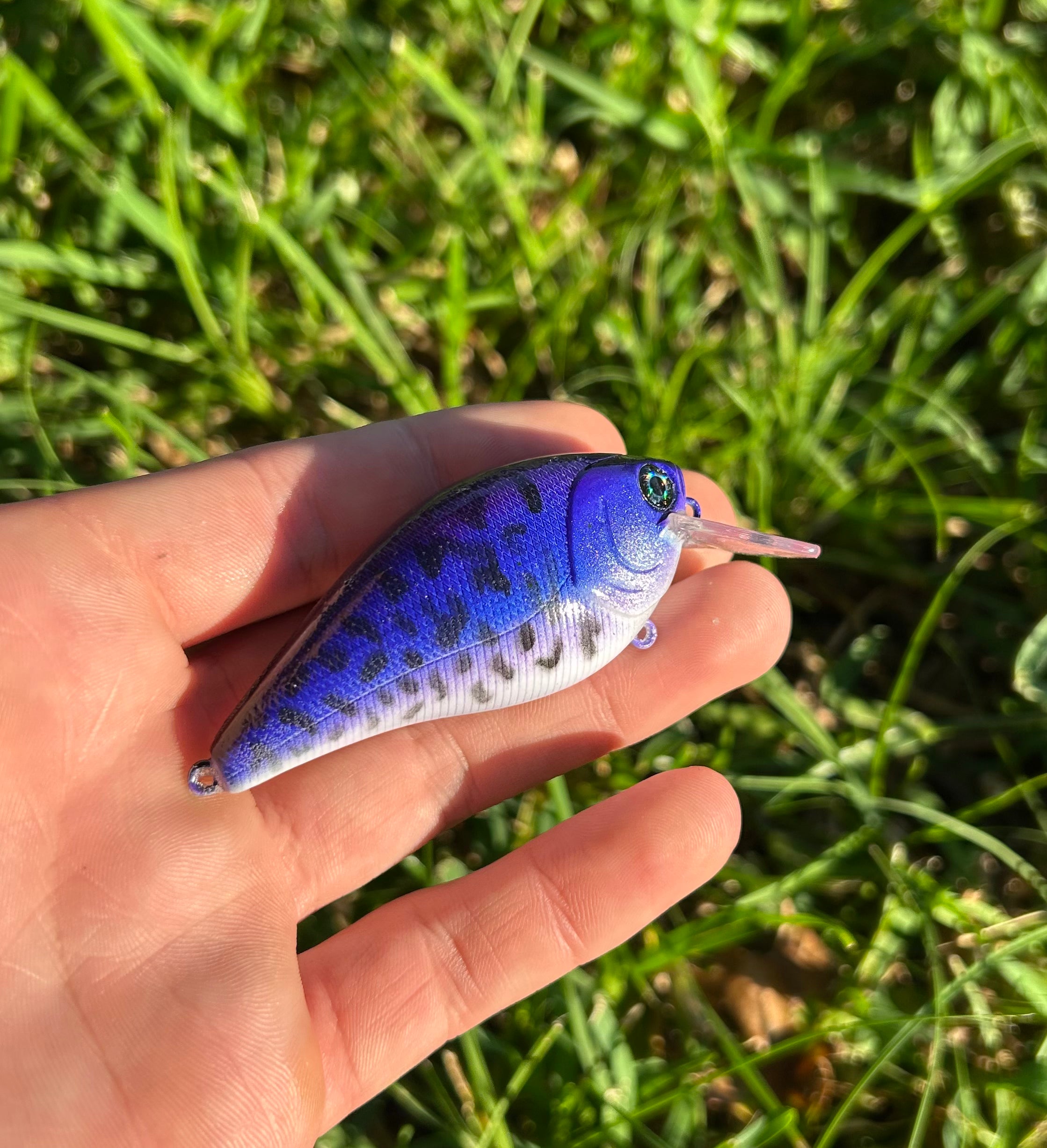 Crank Baits