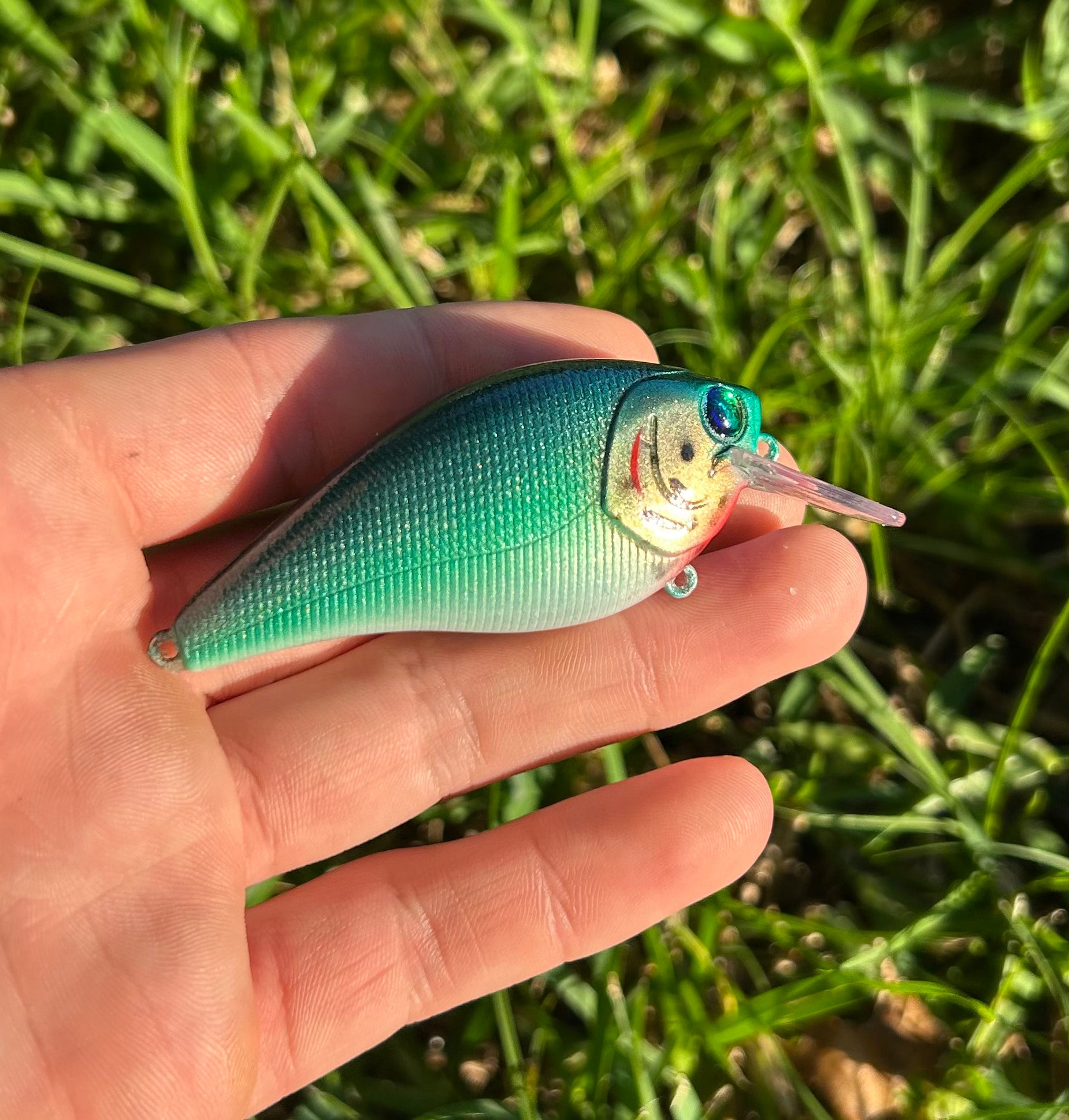 Crank Baits