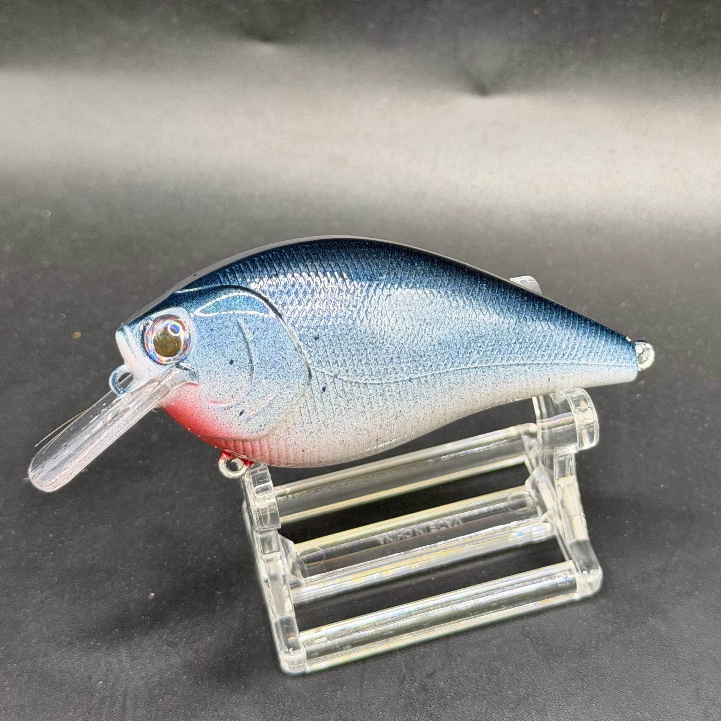 December Series 2025 Crank Baits