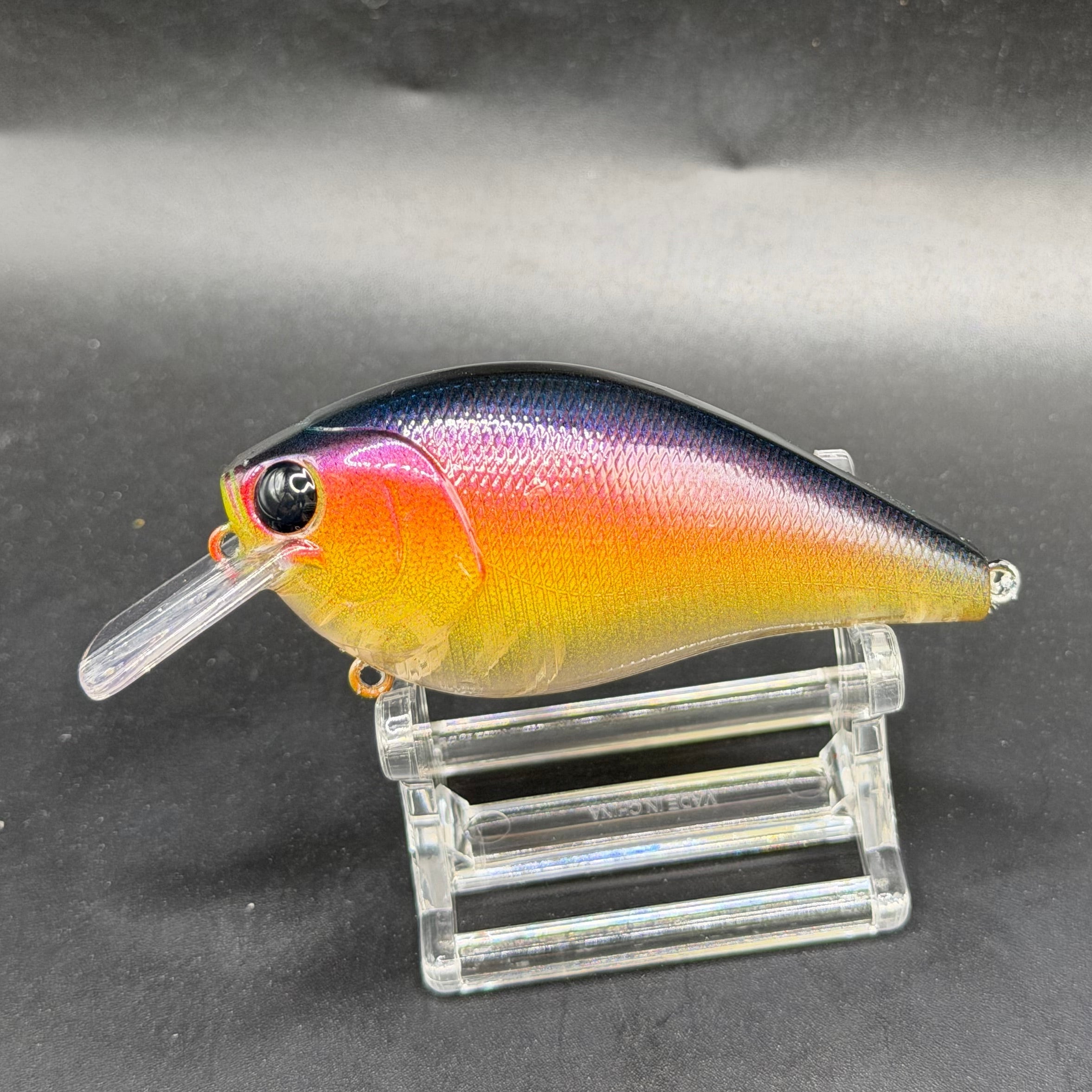 December Series 2025 Crank Baits