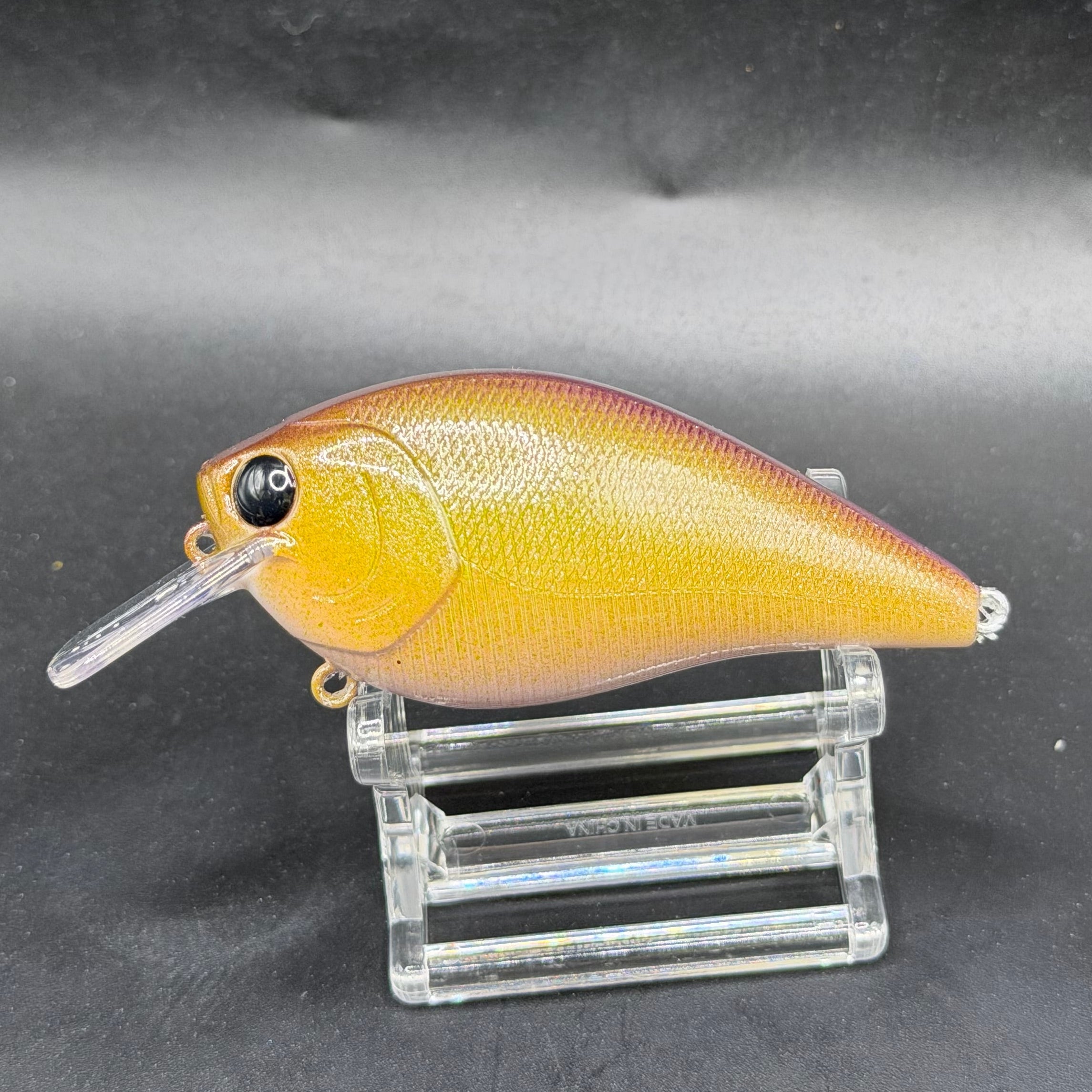 December Series 2025 Crank Baits