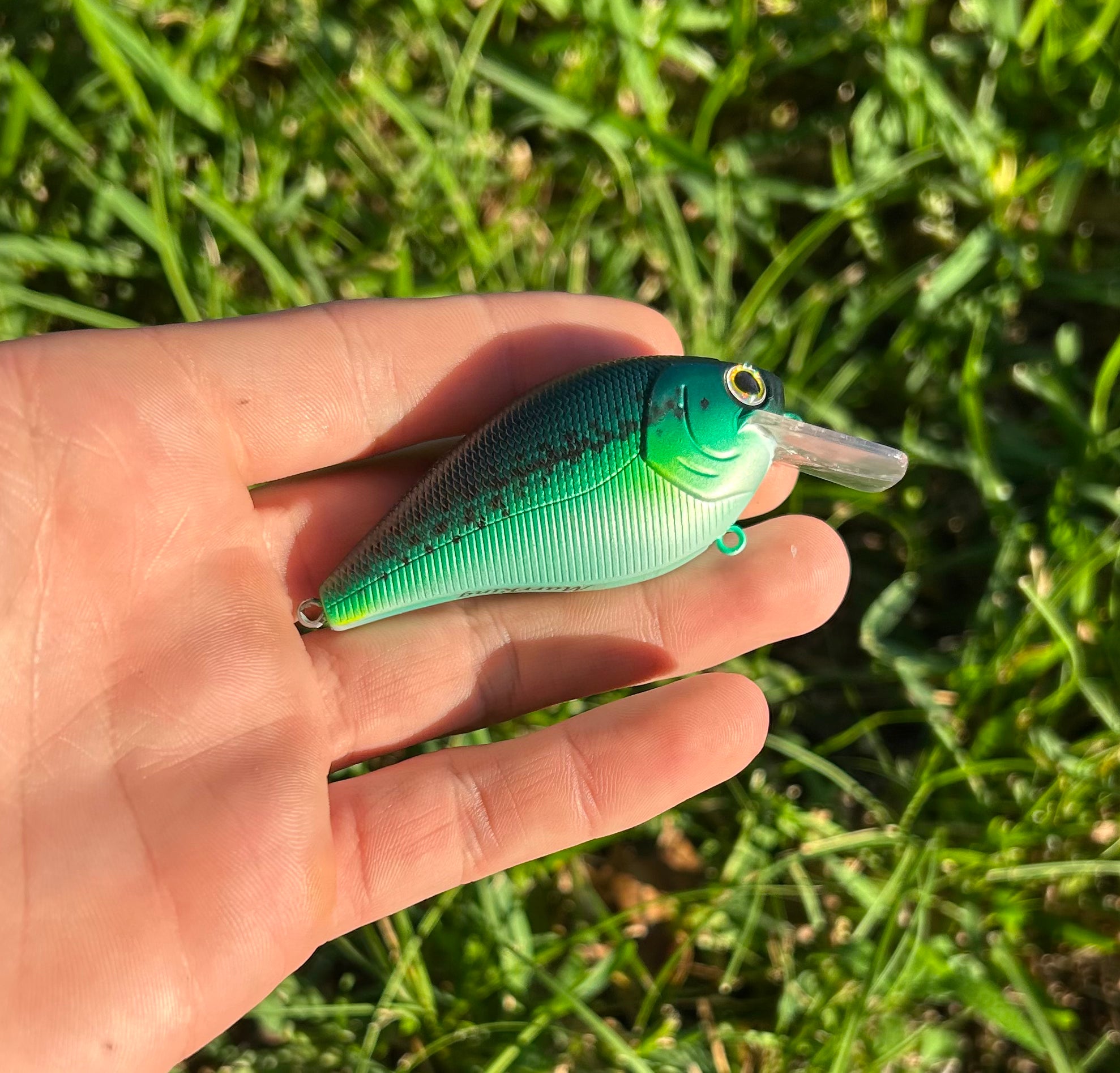 Crank Baits