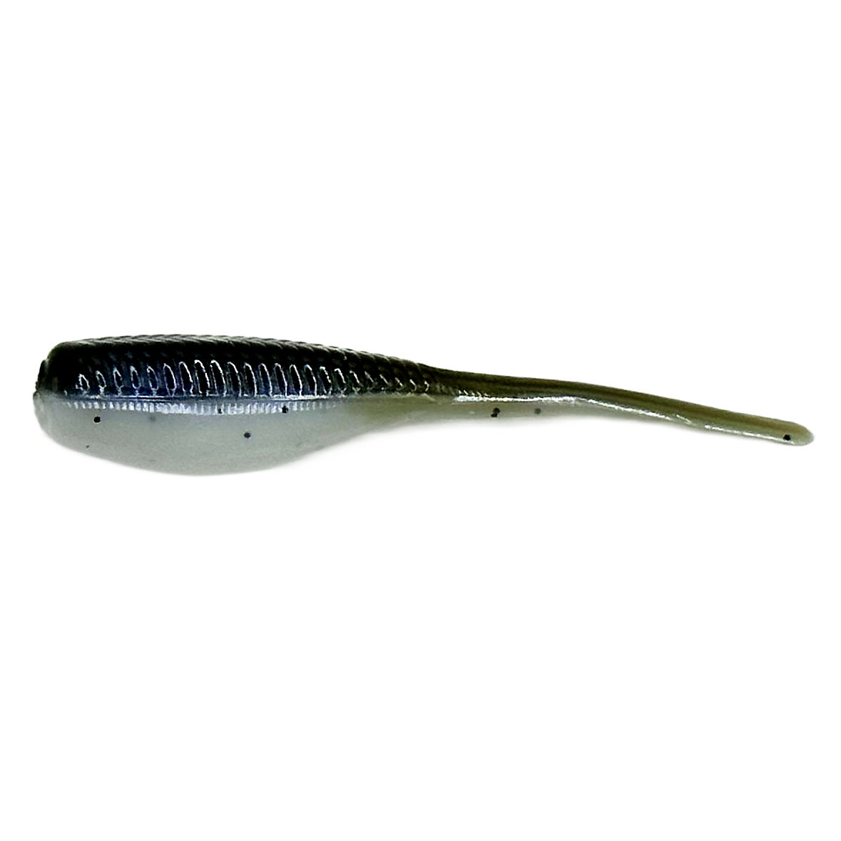 2" Minnow  - Pack of 16