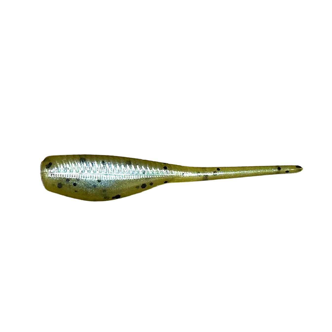 2" Minnow  - Pack of 16