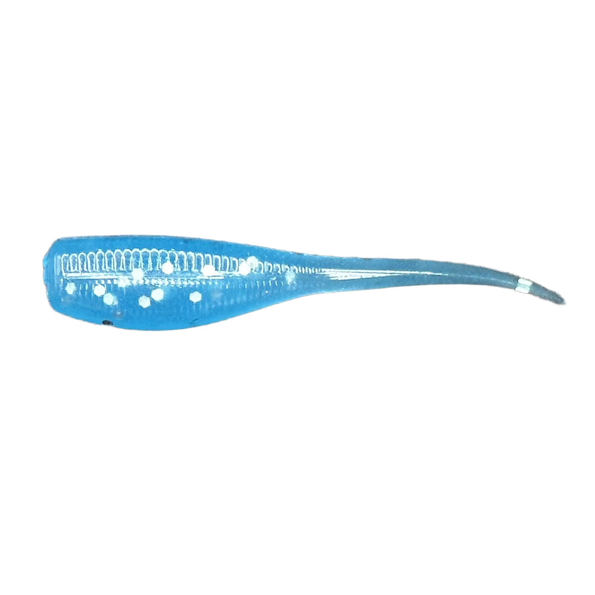 2" Minnow  - Pack of 16