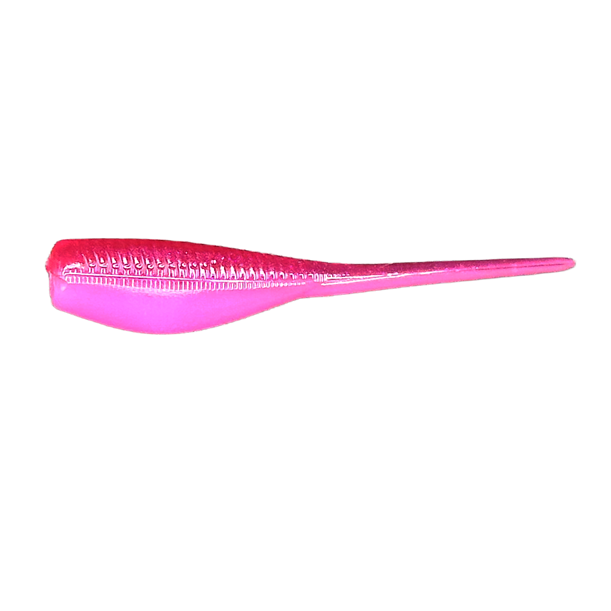 2" Minnow  - Pack of 16