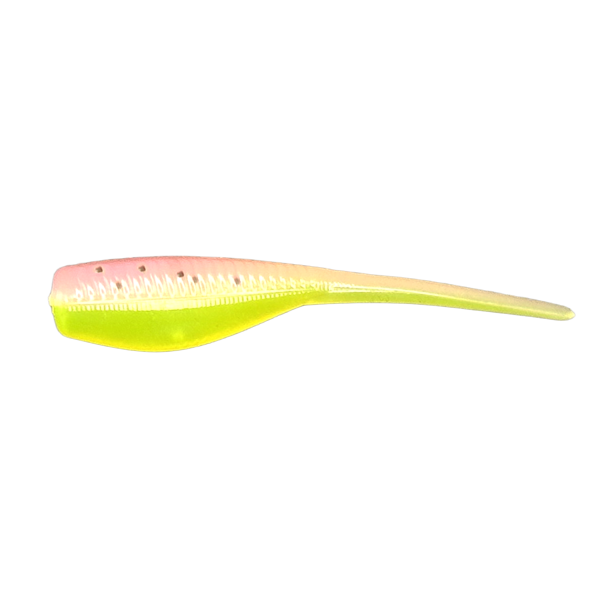 2" Minnow  - Pack of 16