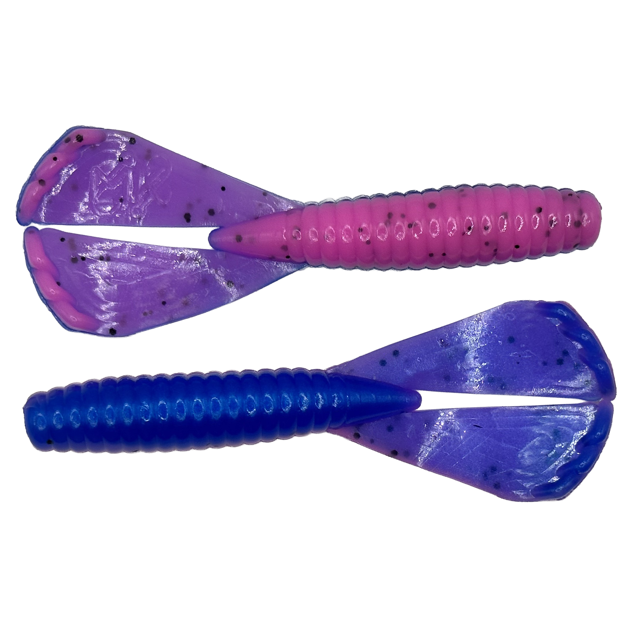 Bait of the Month - November 2025